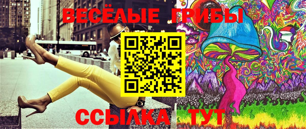 Псилоцибиновые грибы Psilocybine cubensis  Вход с VPN  Верхняя Салда  Псилоцибиновые грибы прущие грибы 